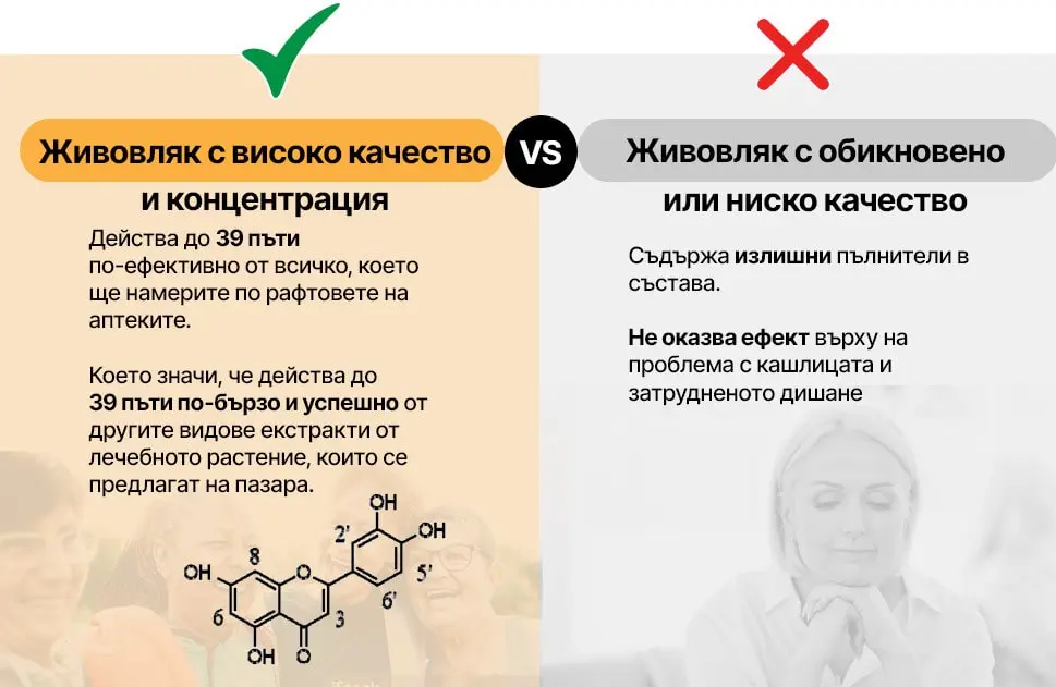 #3: Живовляк