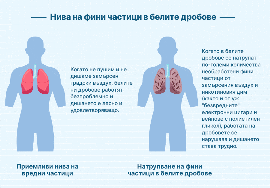 Няколко различни вида замърсители могат да повлияят негативно на здравето и работата на белите дробове.