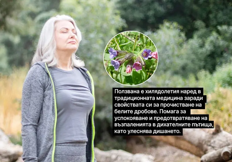 #1: Меча пита