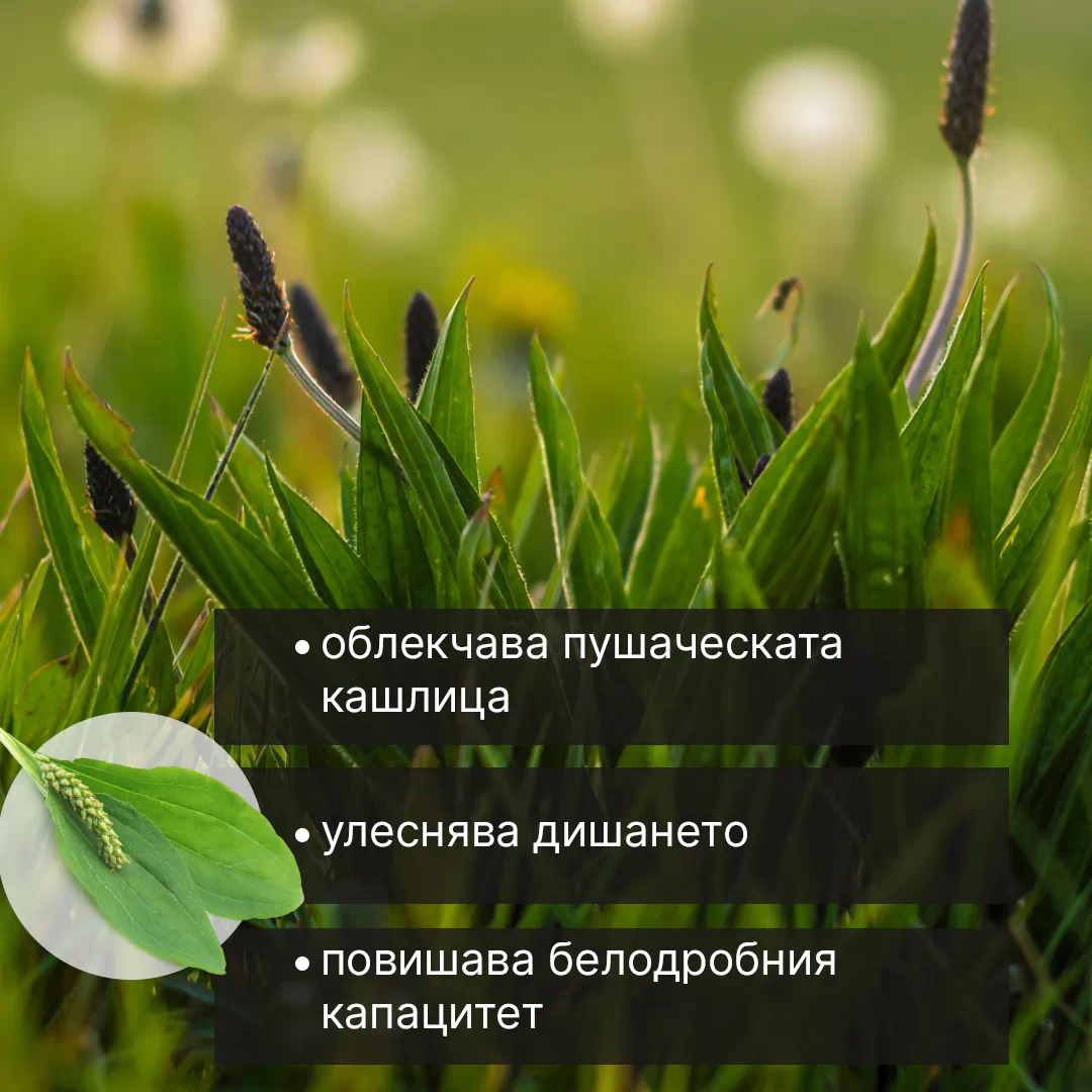 Blaoting Causes